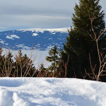 Korlape 4.2 Wolfsberg