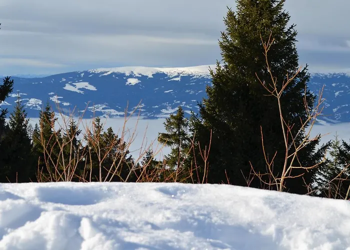 Korlape 4.2 Wolfsberg